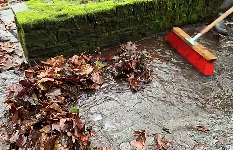 Continúa o barrido de follas en Santiago de Compostela